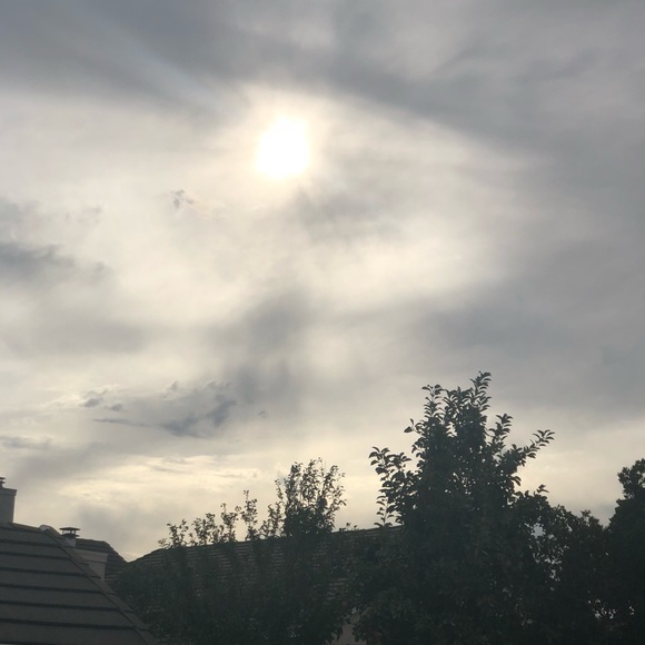 Meet your Posher, Jazmin - Picture 1 of 1